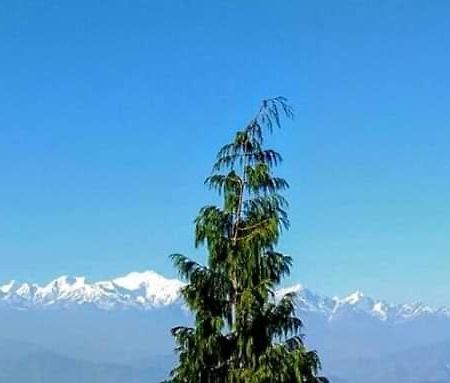 The Mountain View Apartment Darjeeling  Exterior foto
