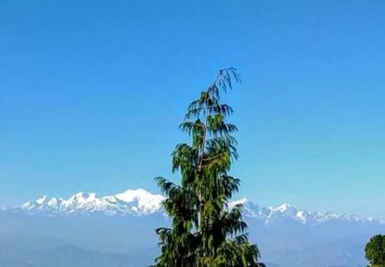 The Mountain View Apartment Darjeeling  Exterior foto